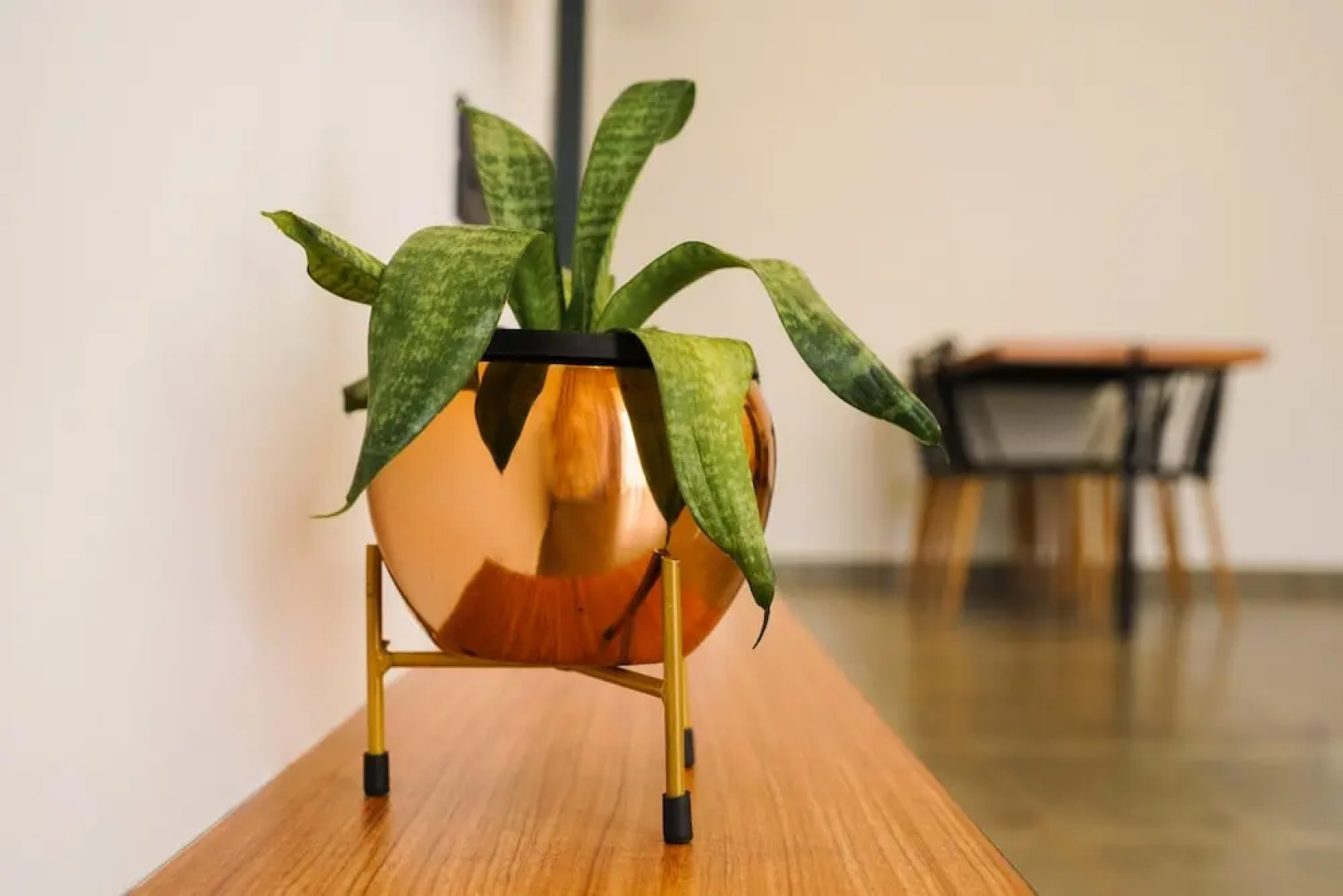 The Leaves Resort Vythiri