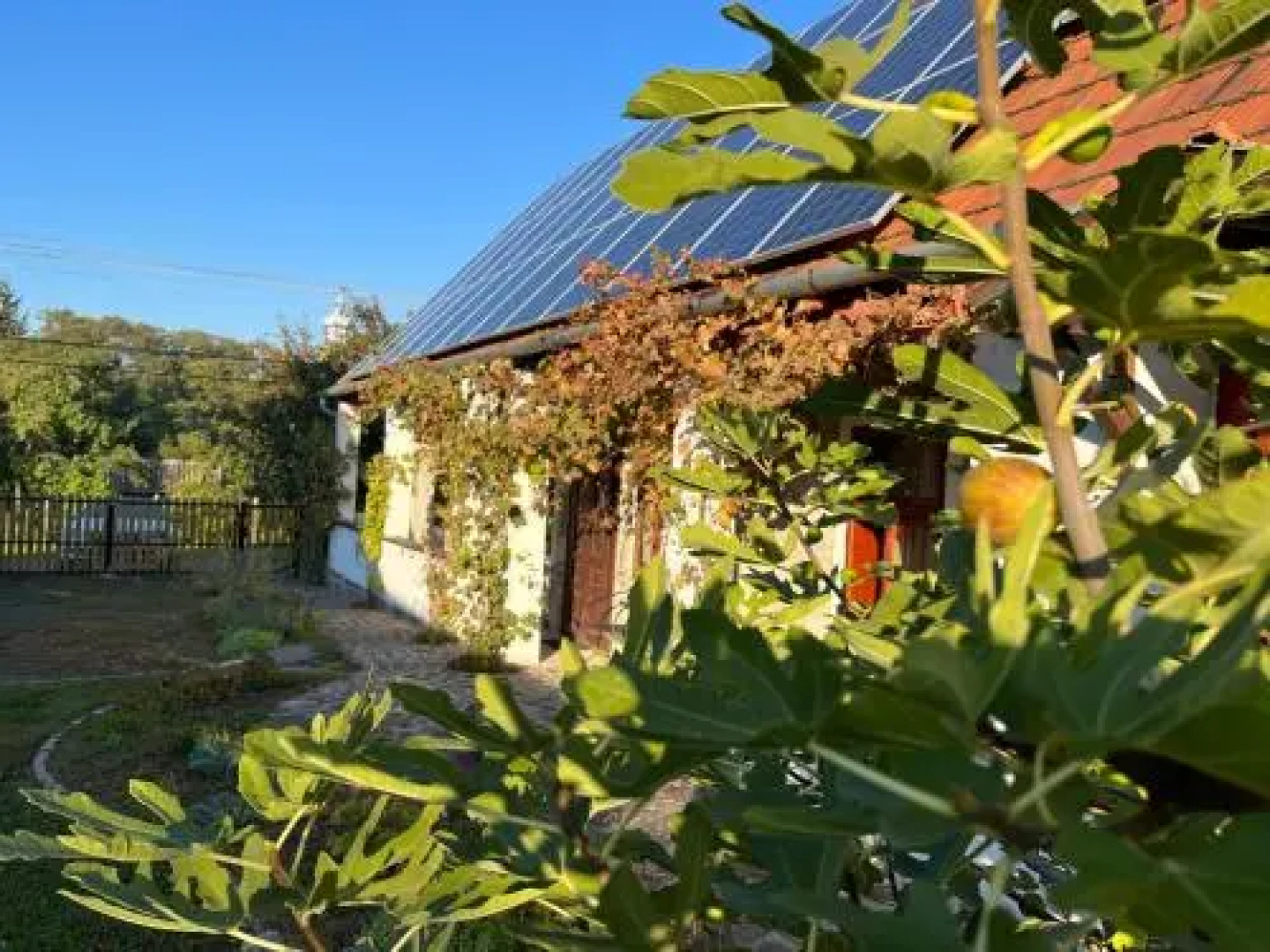 Vitamin B63 Vendégház