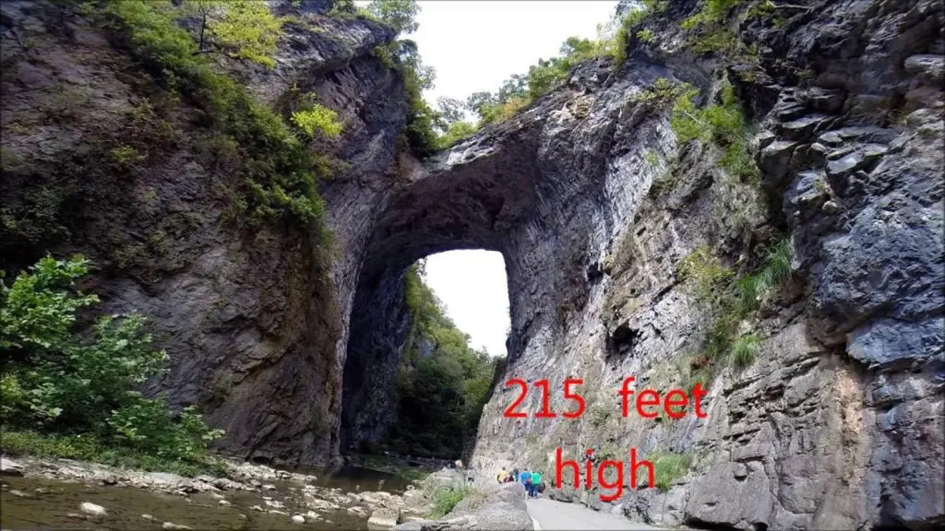 Relax Inn By OYO Natural Bridge I-81