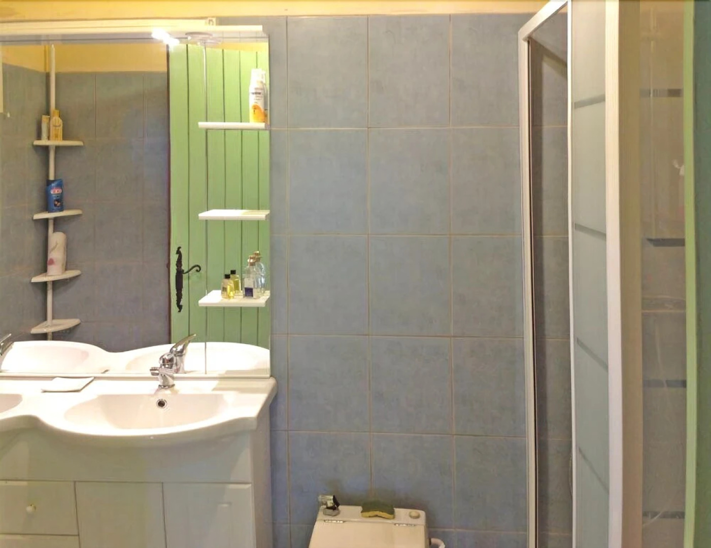 Superb villa 10 persons with large garden in Sagone Corsica