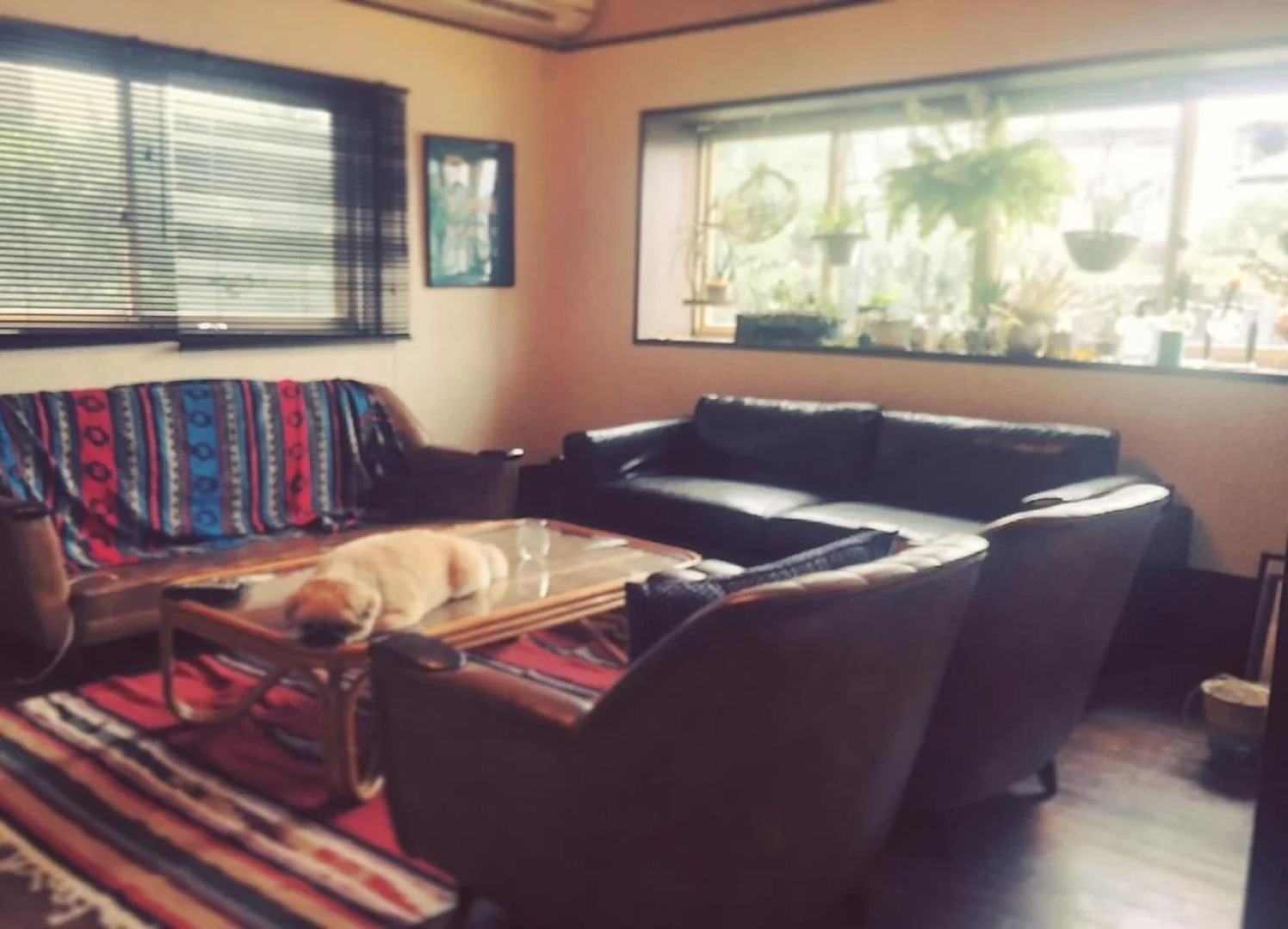 Cafe and Guest House Kaede