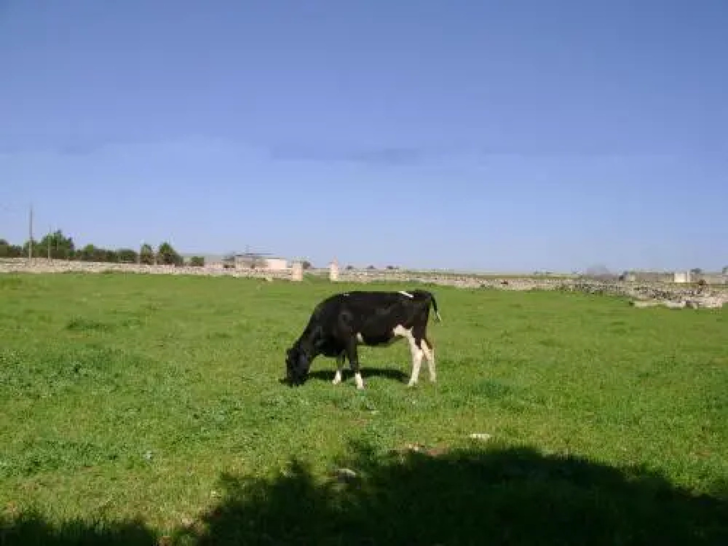 Masseria Cassiere B&B