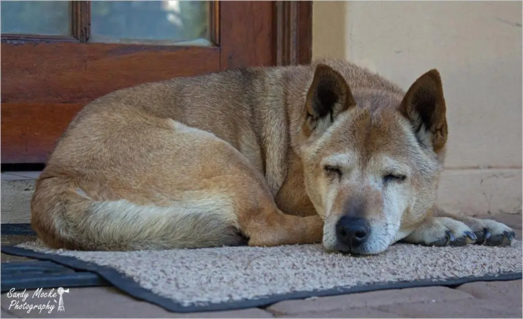 A Cherry Lane Self Catering and B&B