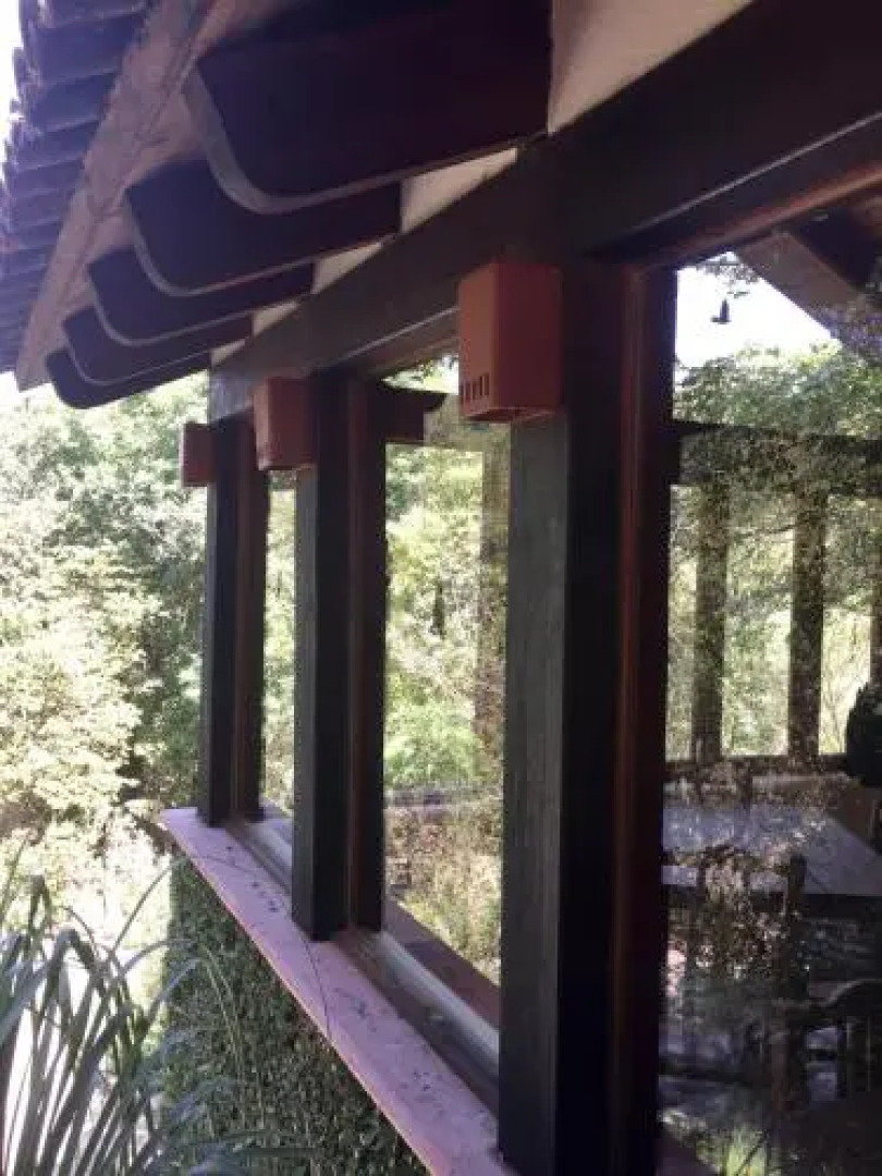 La Galerita De San Sebastian