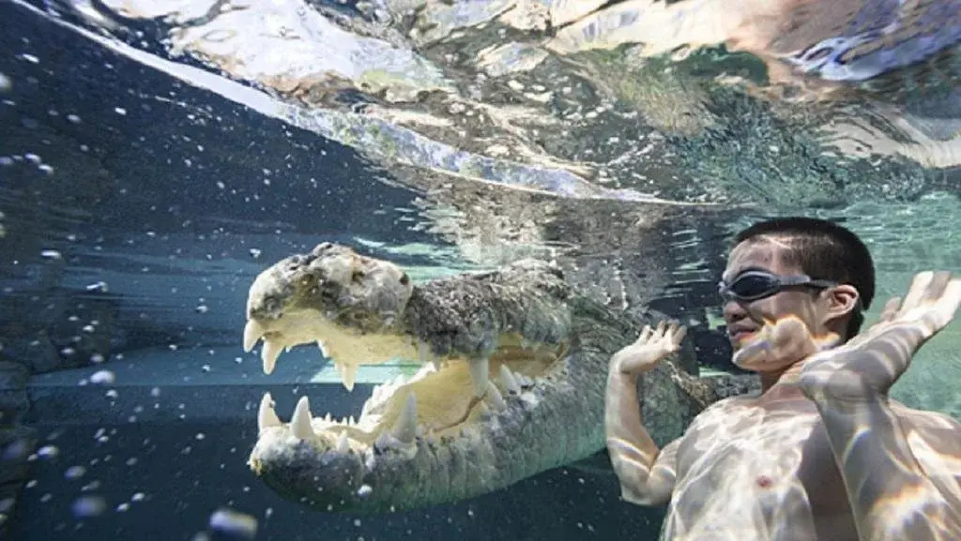 Wharf Escape Holiday Apartments