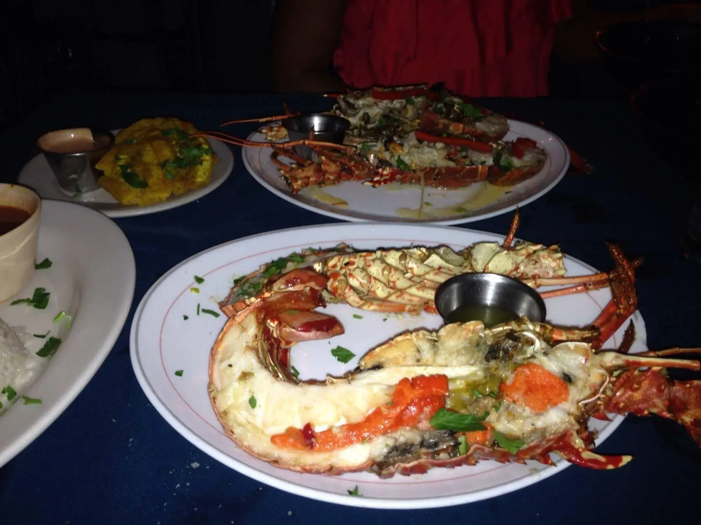 Dolphin Tower Apartment