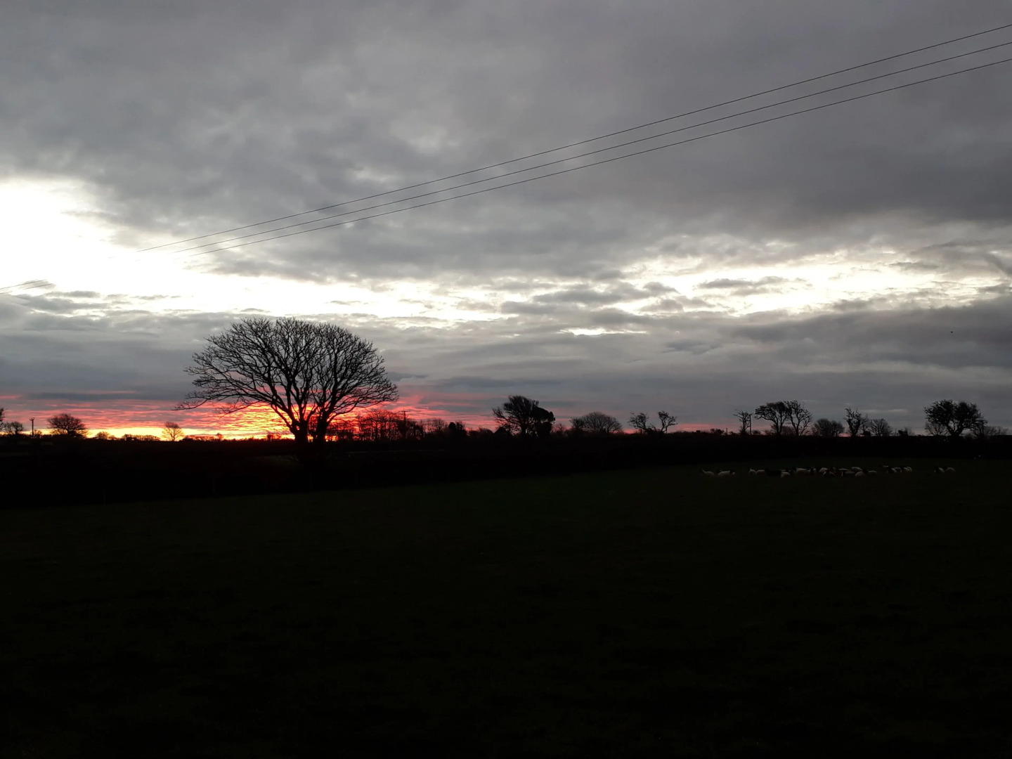 Chynoweth Trelash B&B