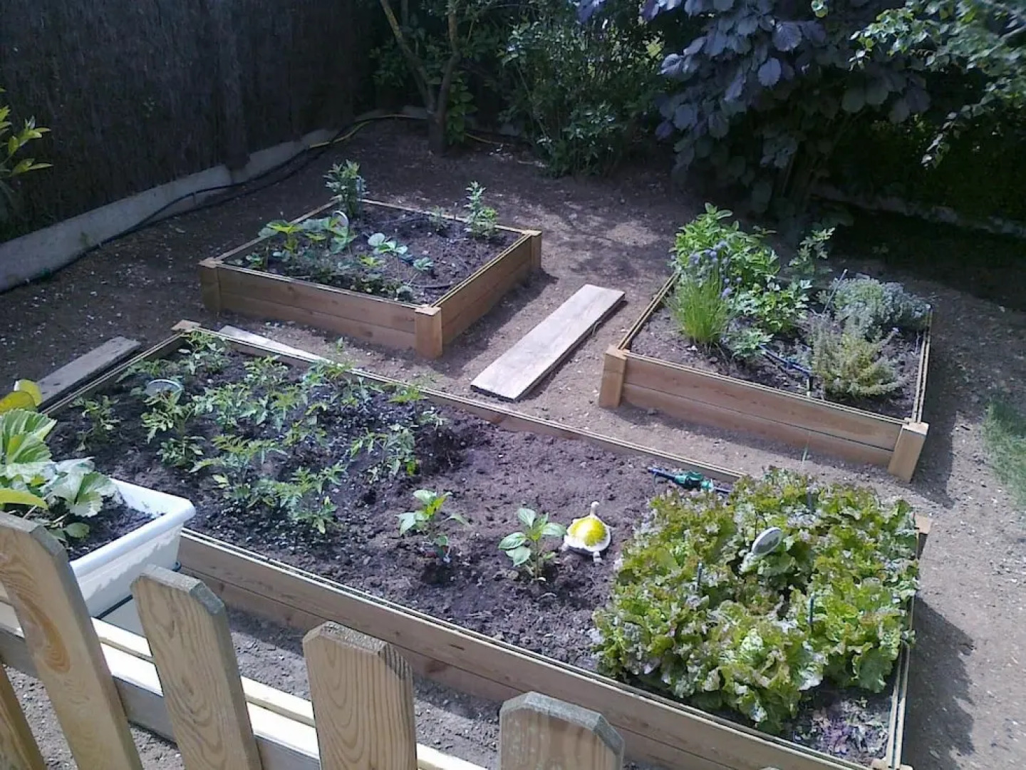 Couette et Cafe creme