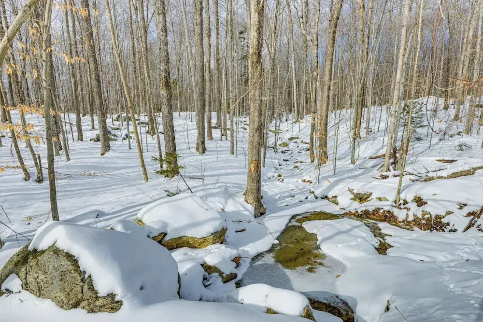 Stratton Mtn Ski Chalet w/ Giant Views in Winhall