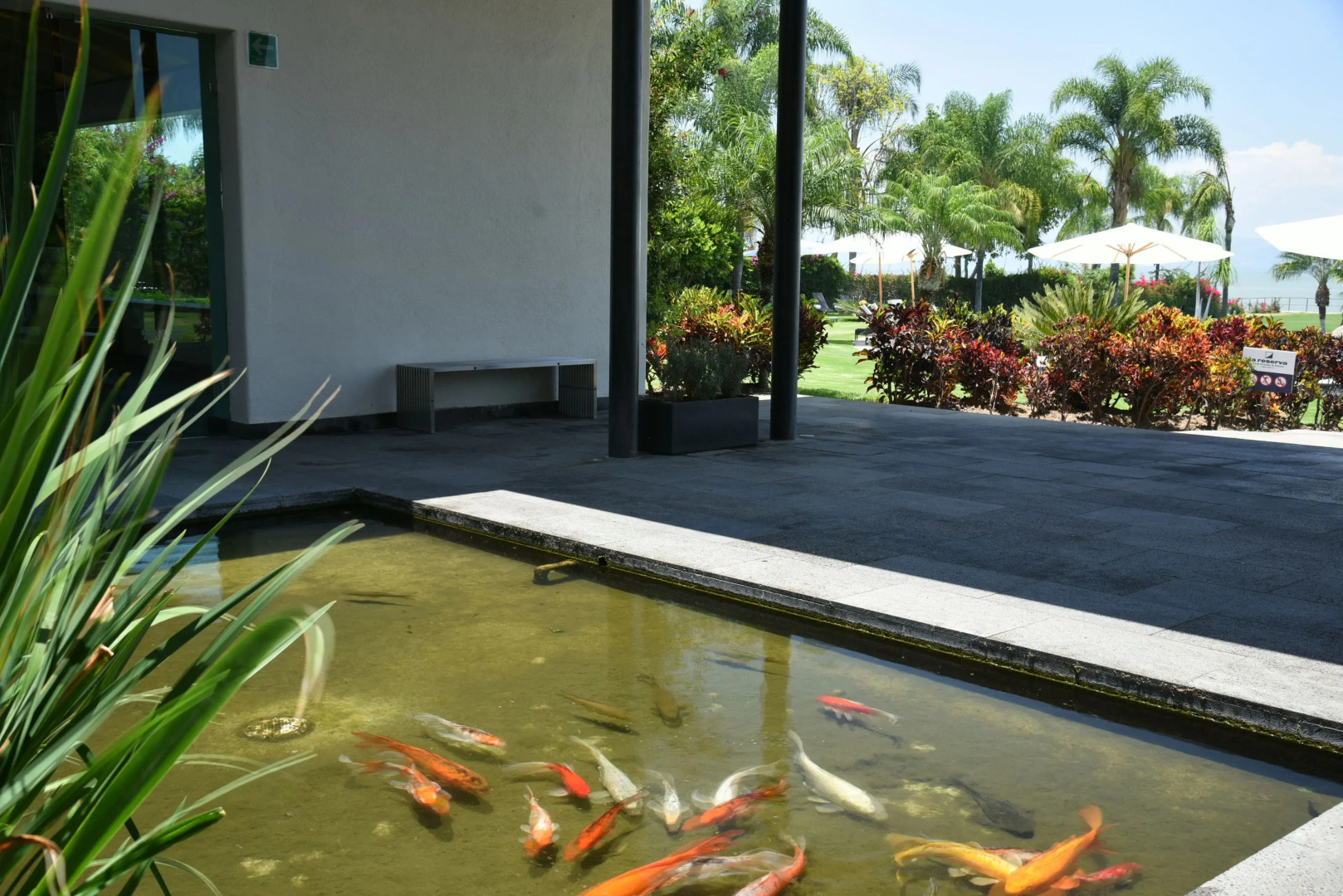 La Reserva Chapala Resort