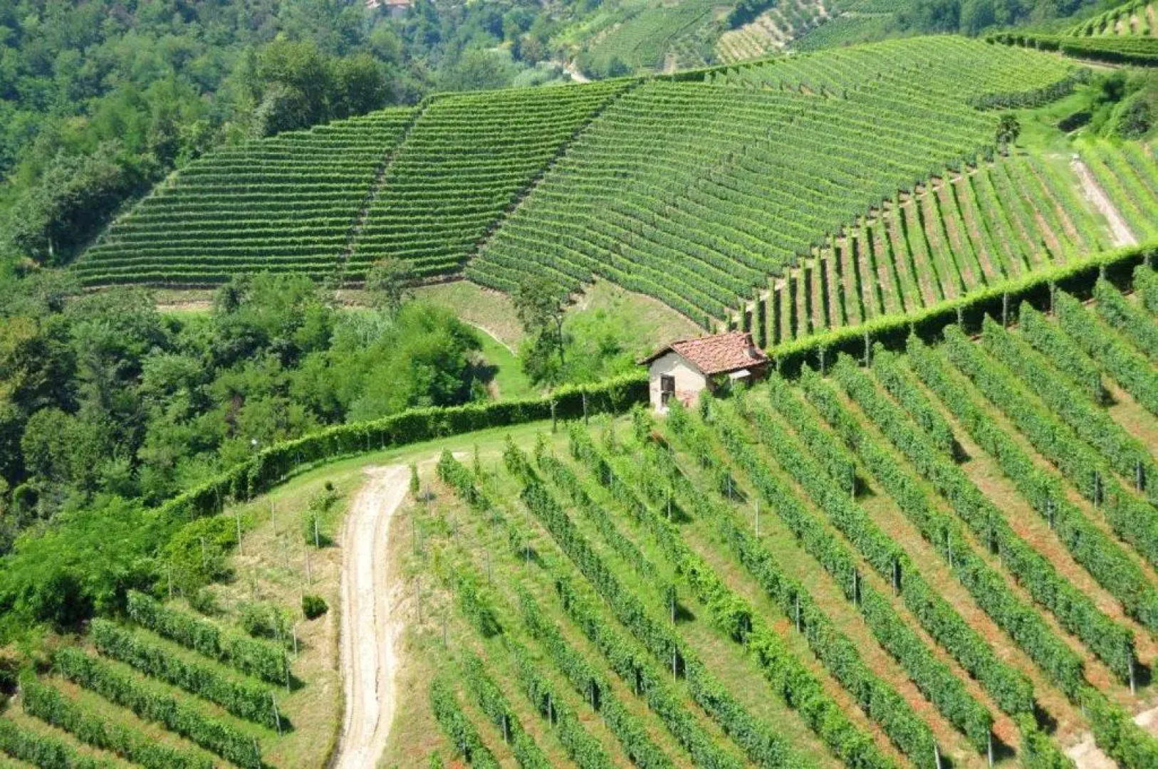 Villa Cristina Suite