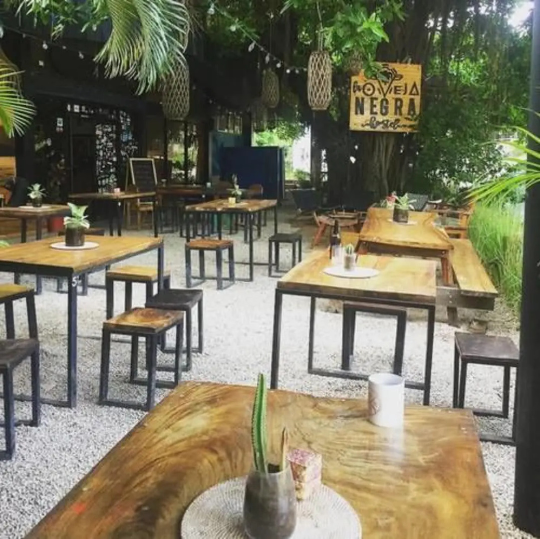 La Oveja Negra Tamarindo Hostel and Surf Camp - Adults Only