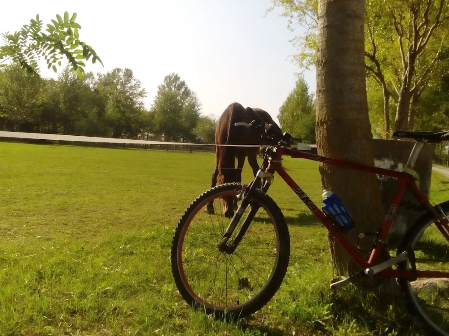 L'Antico Casale dei Sogni