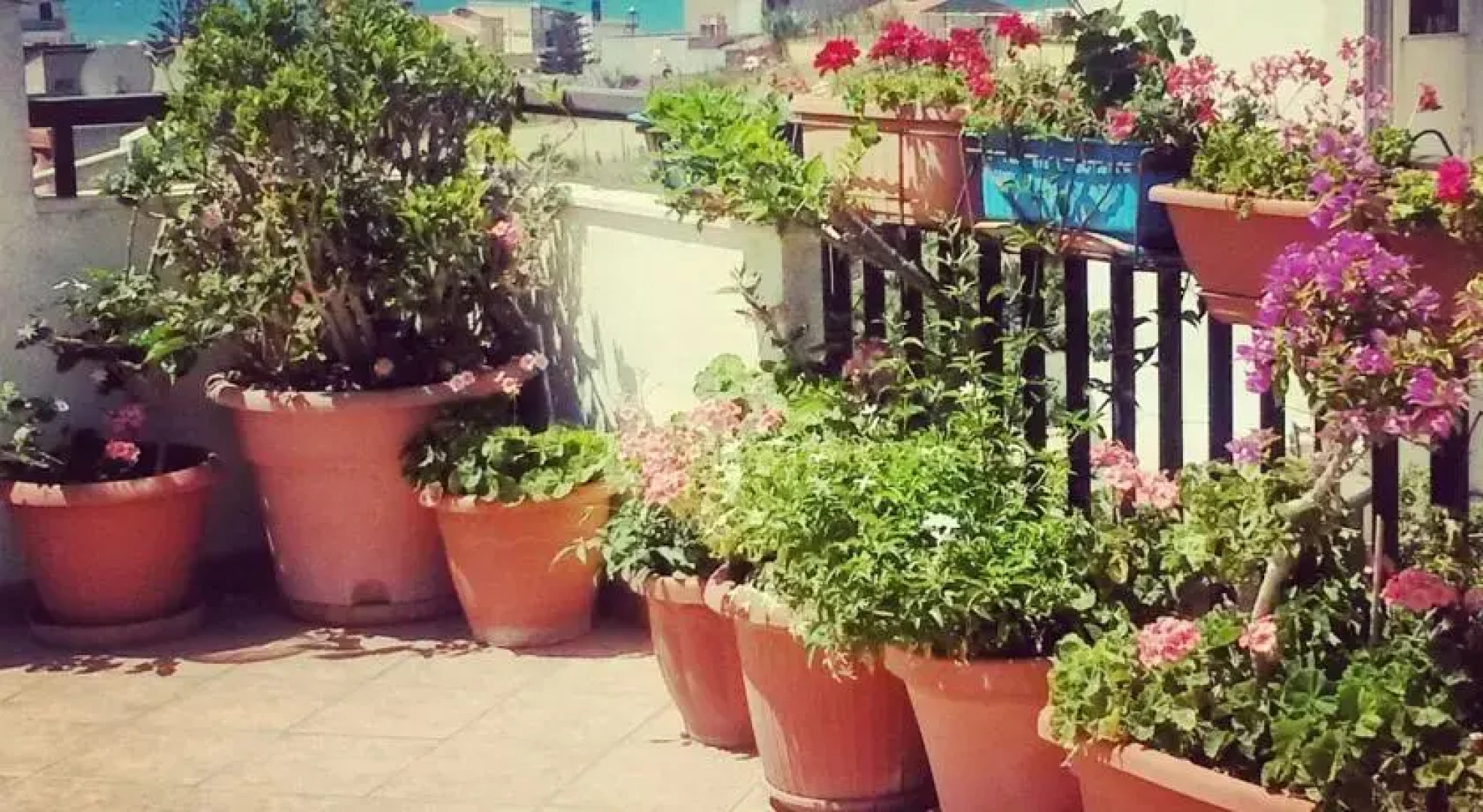 Apartment Terrazza Kamarina