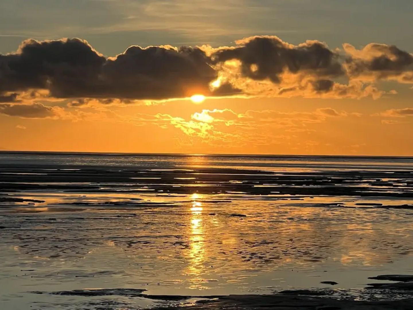 Clouded Yellow - Beautiful Modern Lodge, Kippford