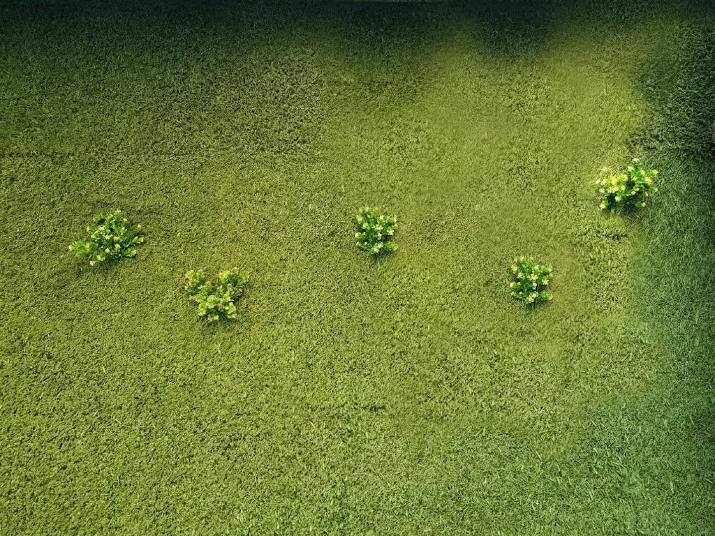 The Lively Hotel Kualanamu Airport Medan