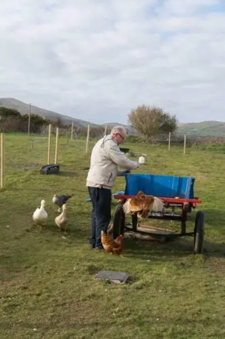 Fiuise Bed  Breakfast