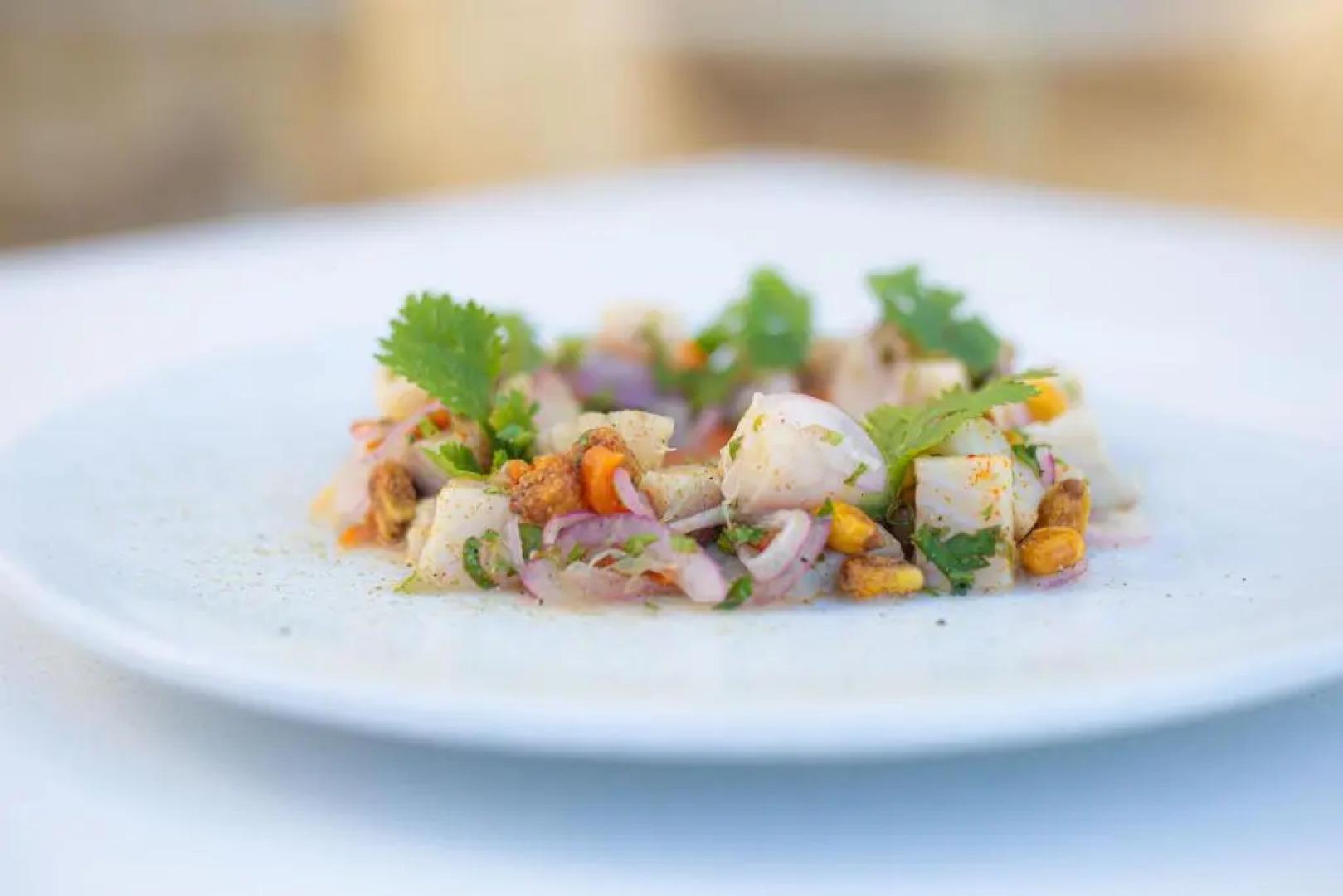 Loa Tolú by Bernalo Hotels