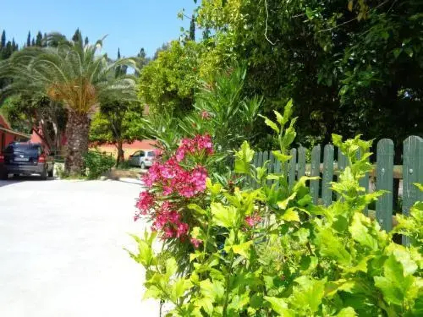 Skyline Rooms & Studios