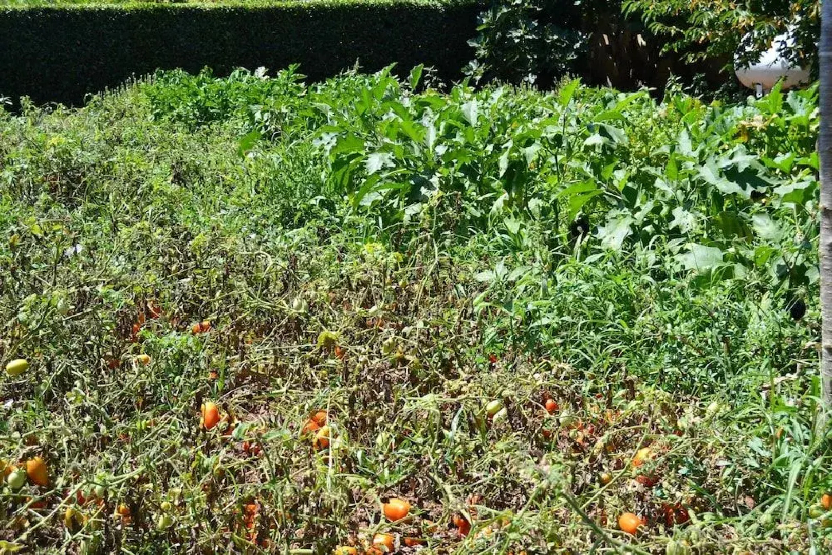 Tenuta Santa Giovanna