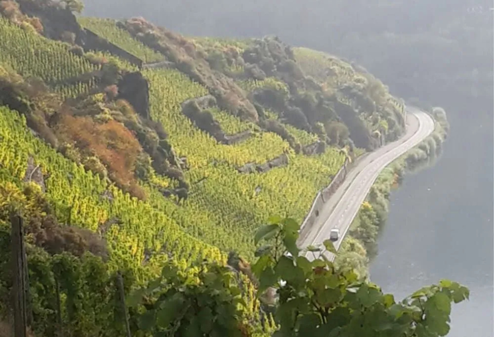 Classisches Weingut Hoffranzen