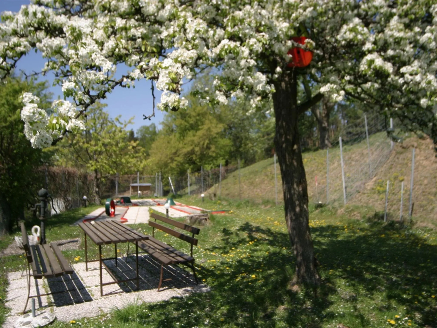 Apartment in Bleiburg Near Petzen Ski Area