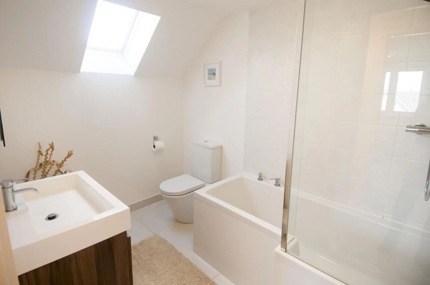 Seashells in Woolacombe