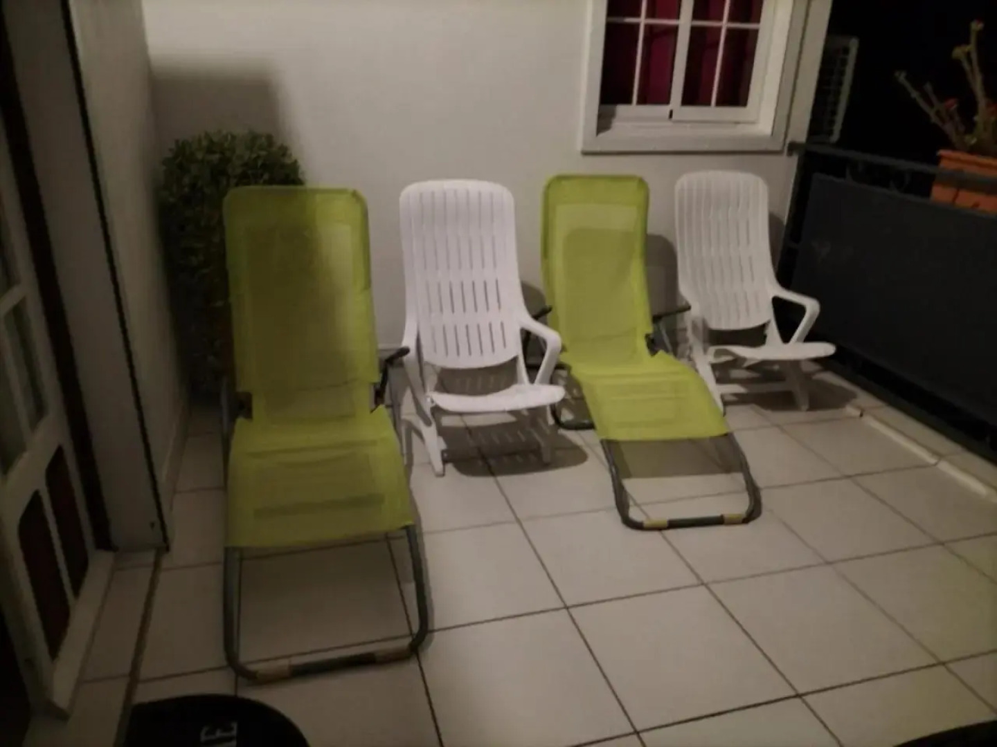 La mélodie des oiseaux