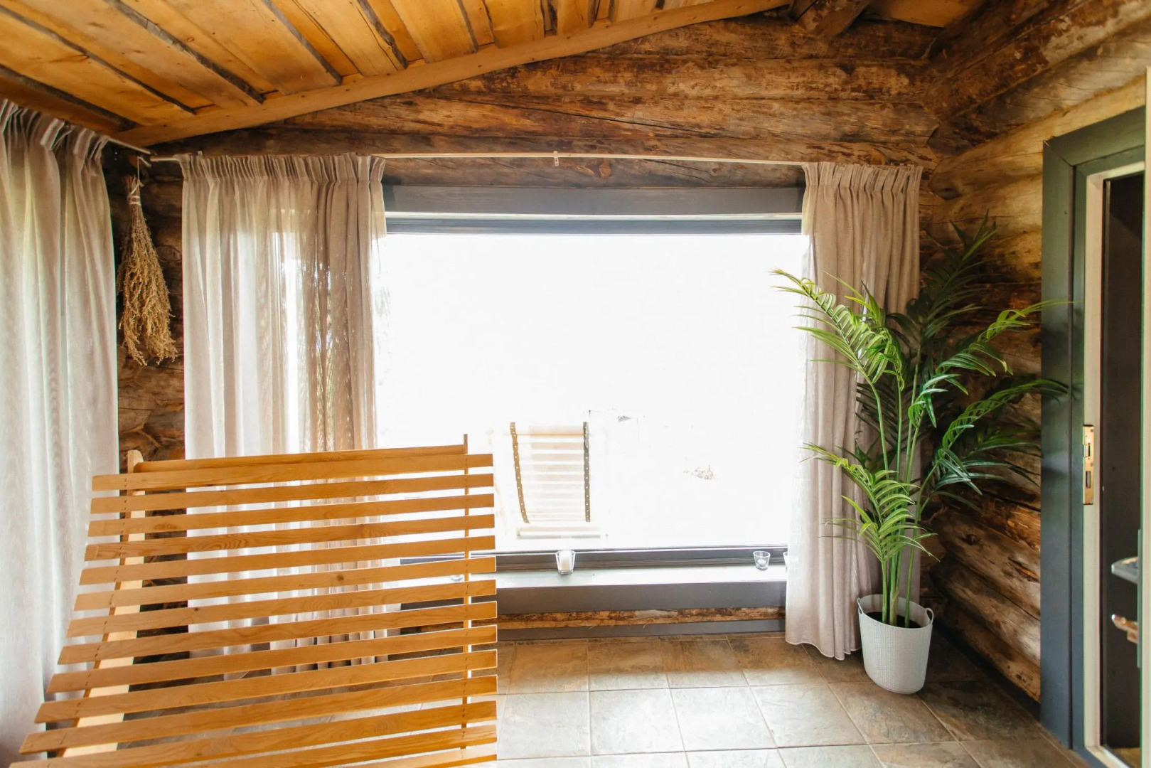 Сова Шуйский Залив