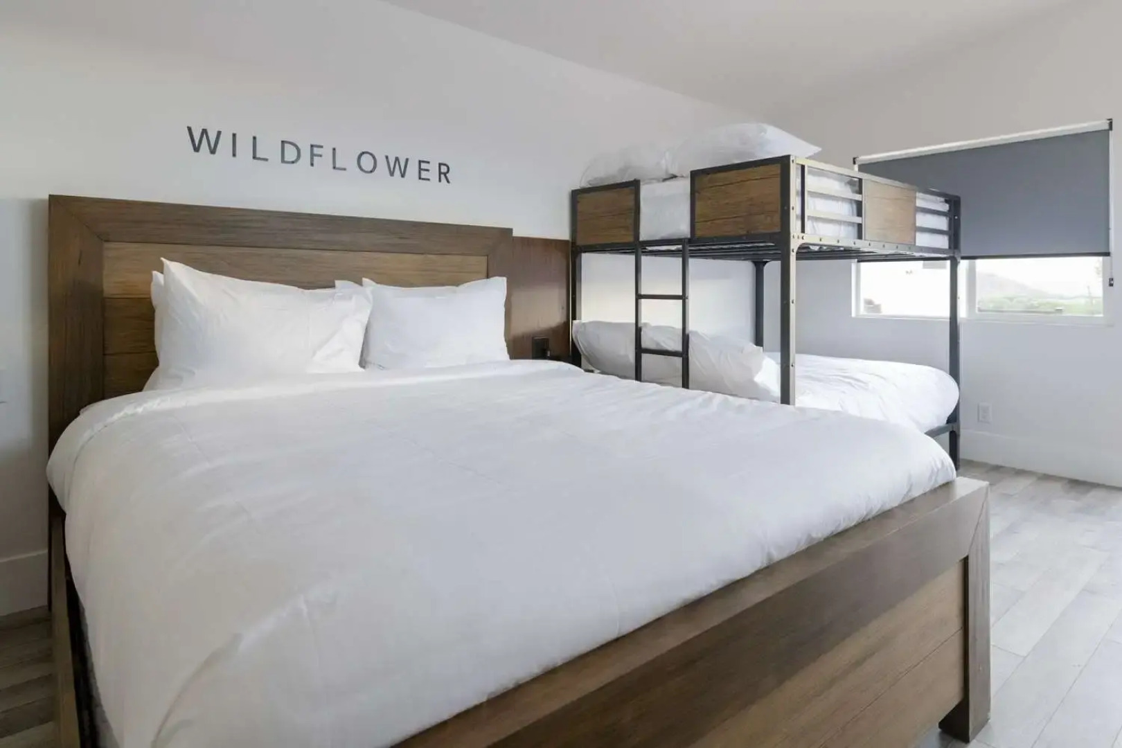 Zion Wildflower, BW Premier Collection