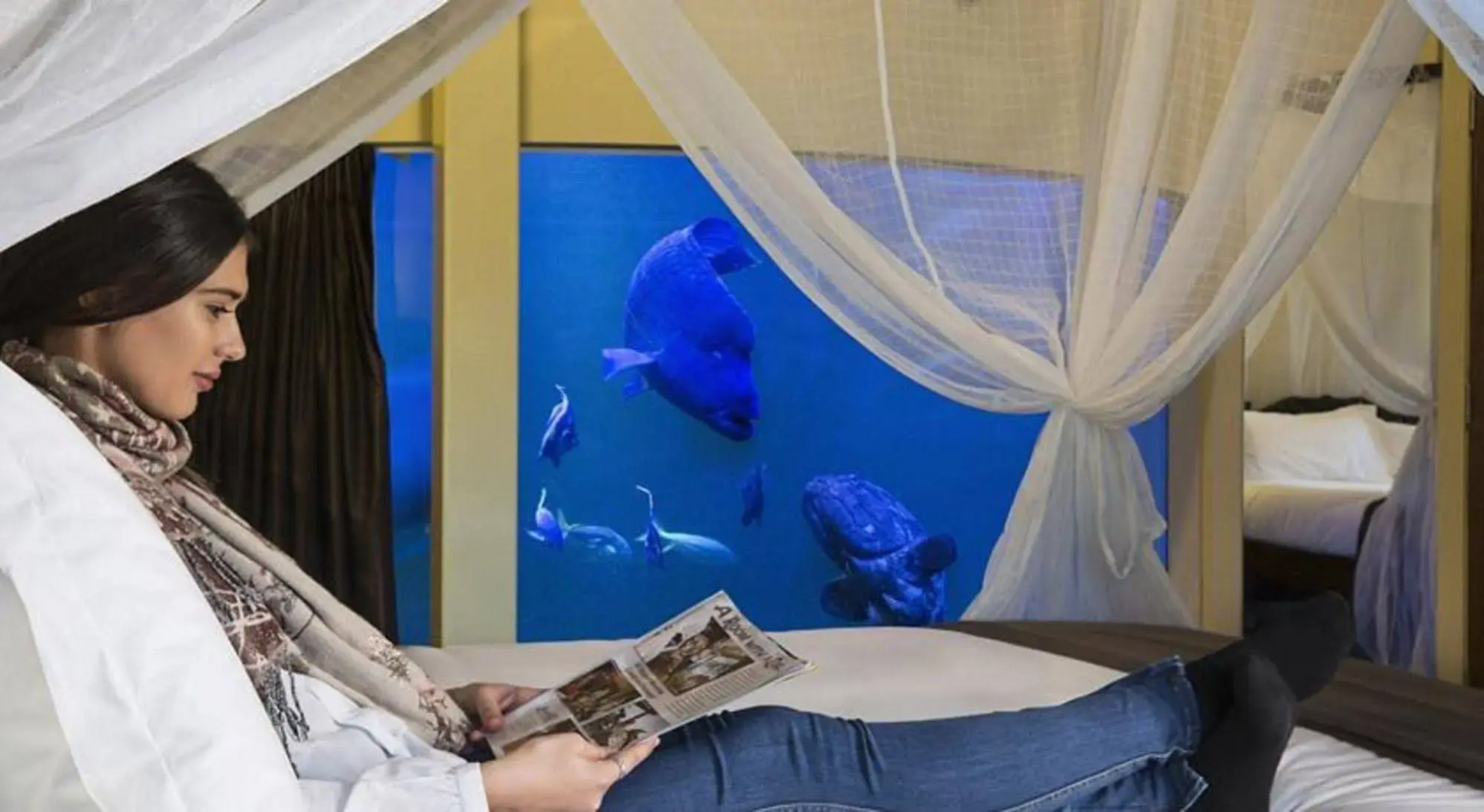 Jamala Wildlife Lodge