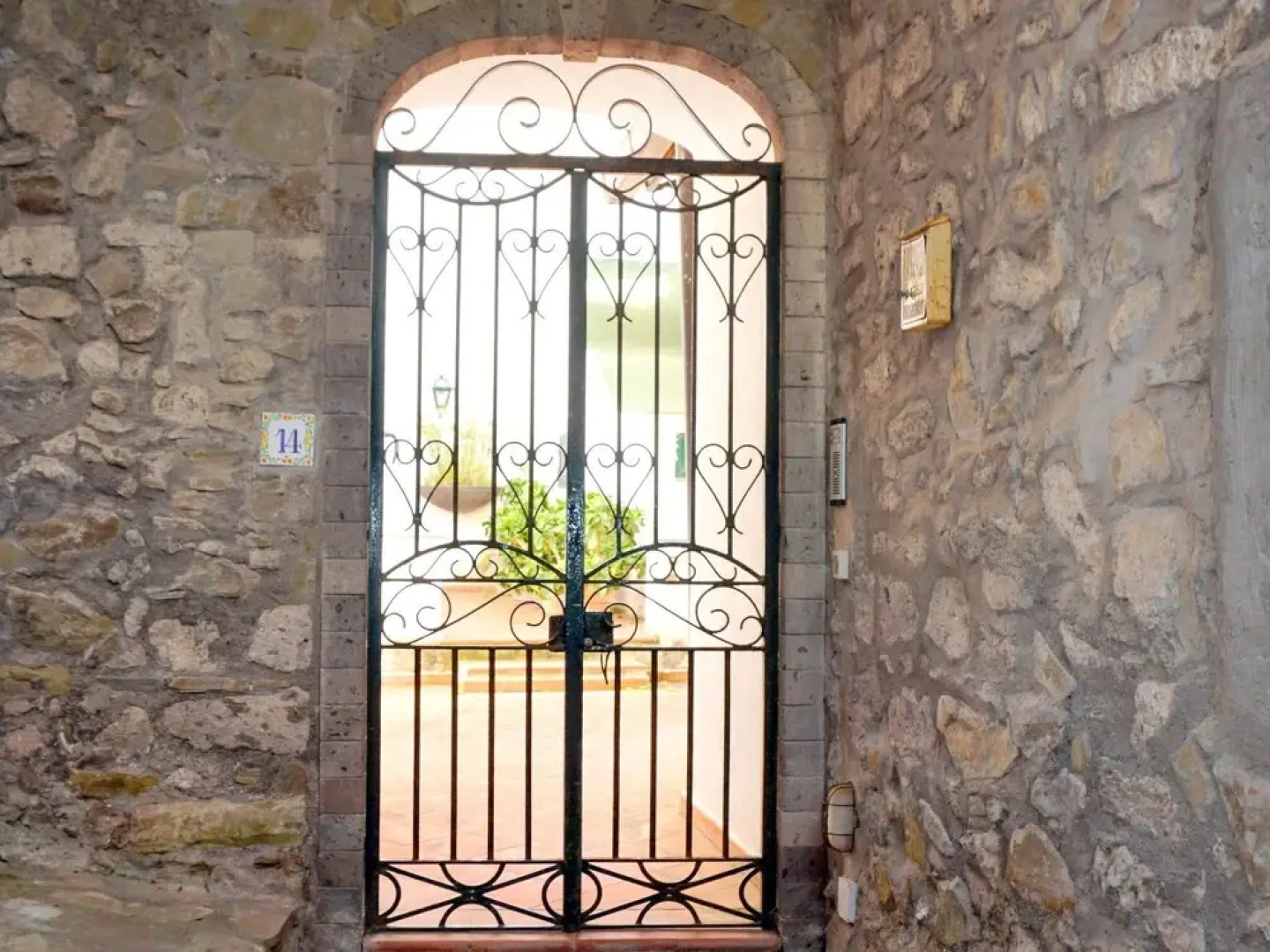 Secular Tree Massa Lubrense