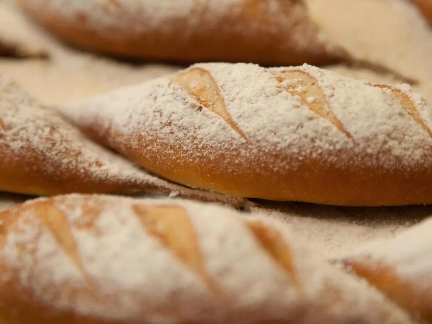 The Castle at Taunton