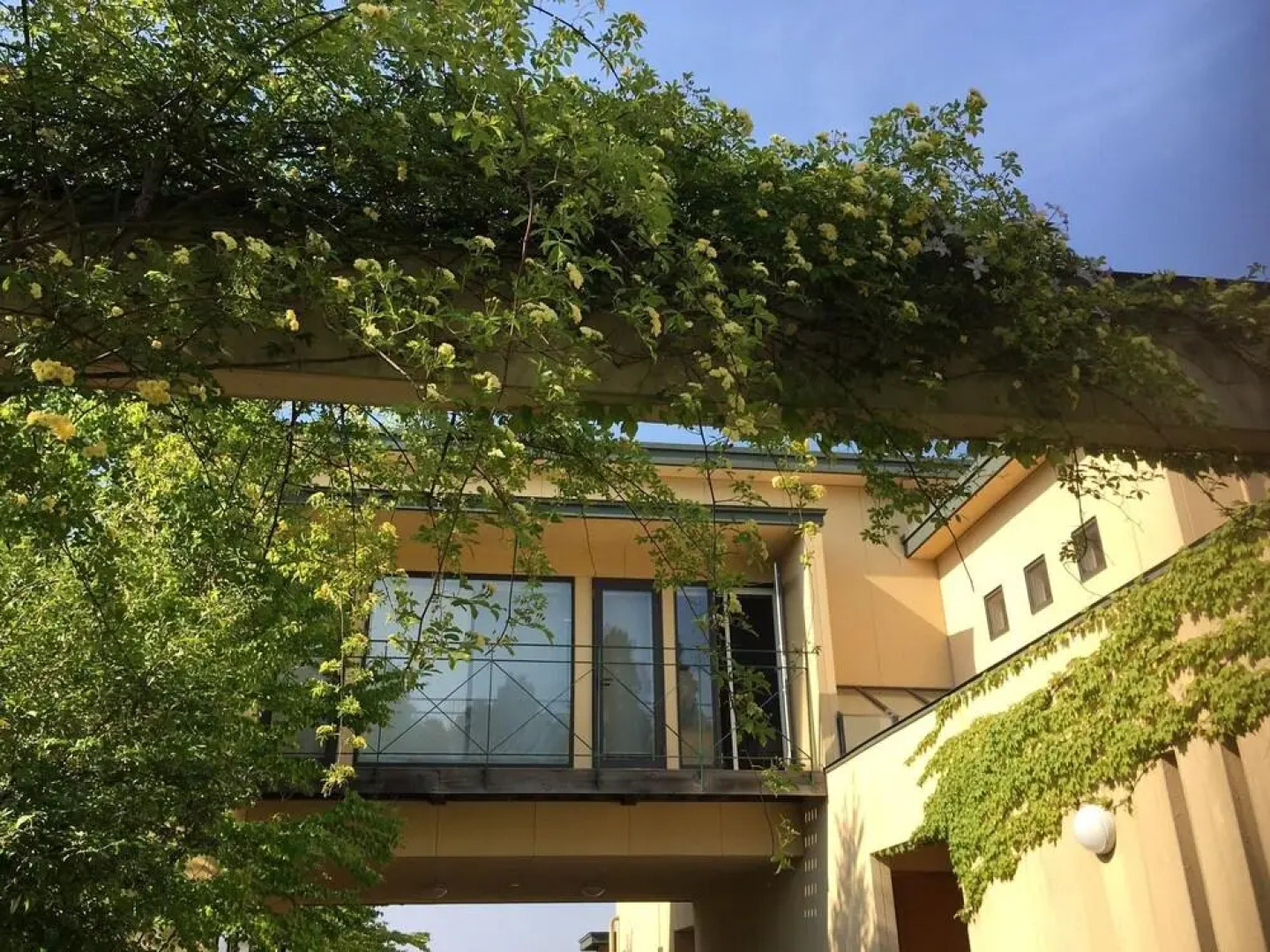 Cafe Restaurant B&B Burari