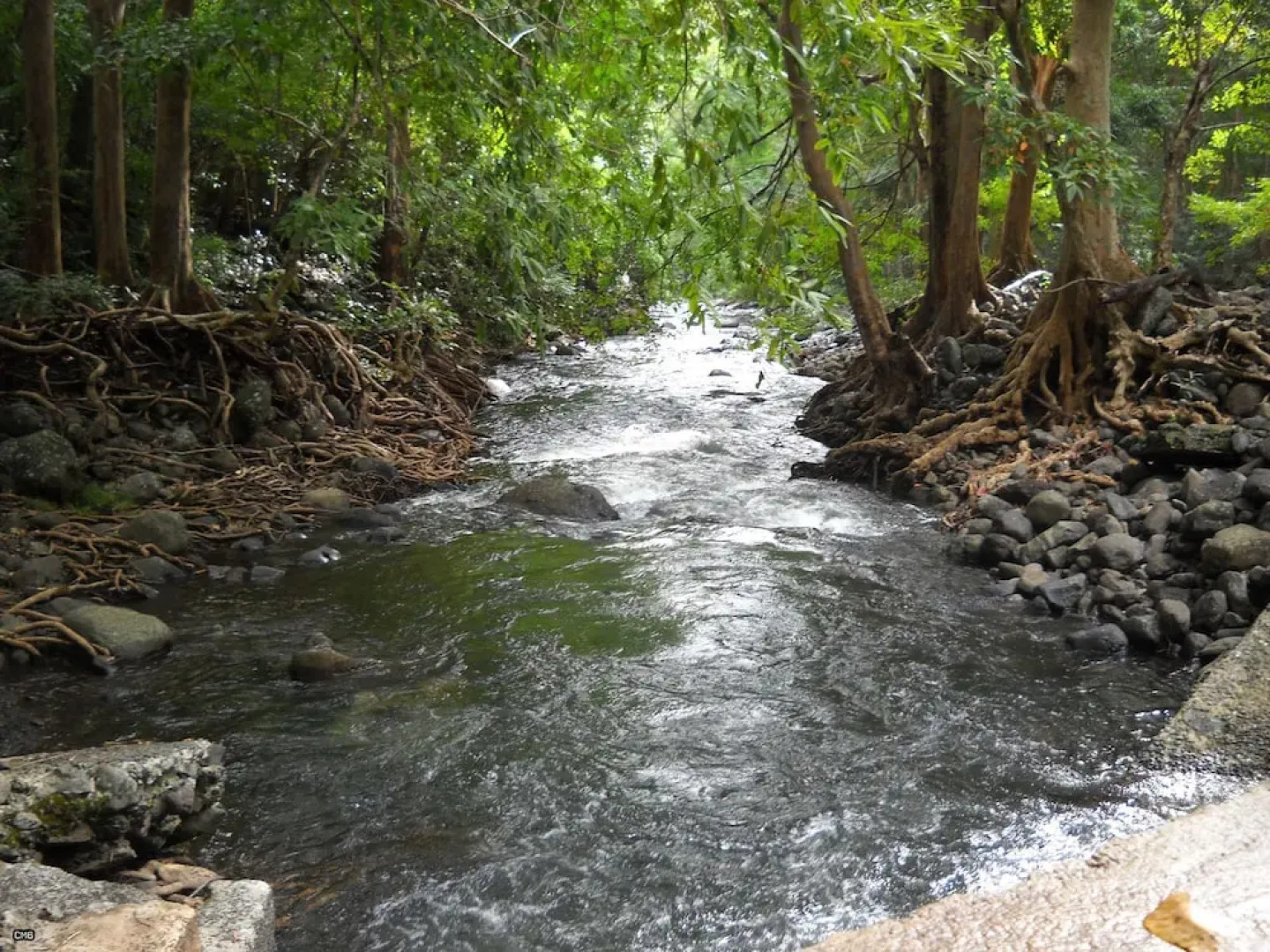 Cap Ouest by Dream Escapes