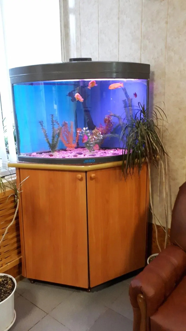 Гостиница Ливны-Центральная