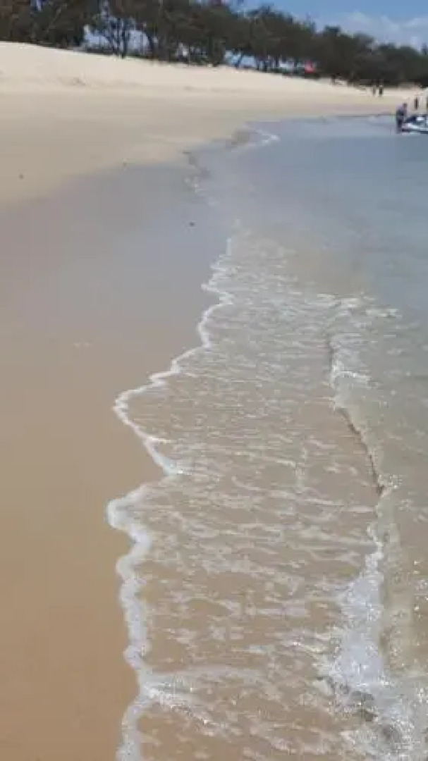 Studio Apartment Mooloolaba Beach Holiday Management