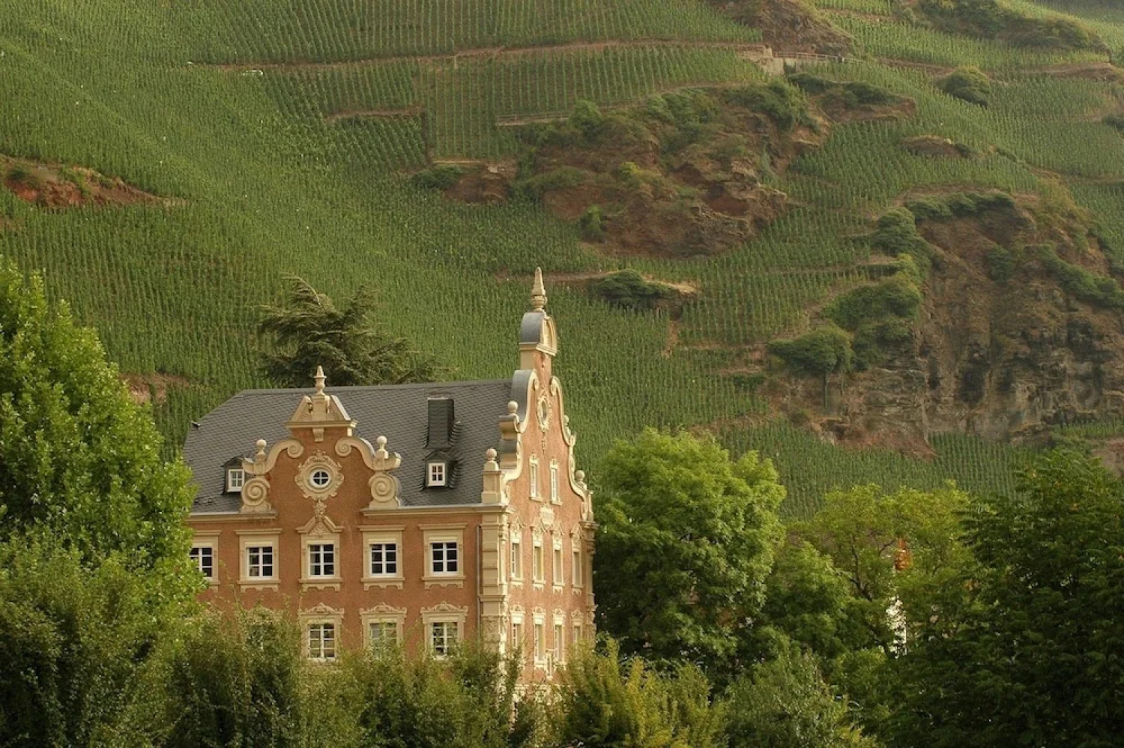 Weingut Gästehaus Mönchhof