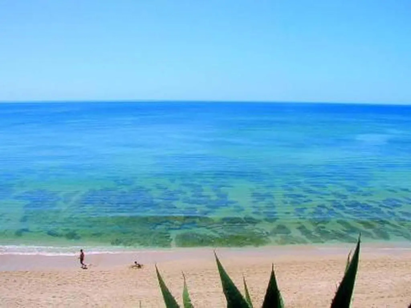 2 Bedroom Apartment 500m From The Beach - Algarve