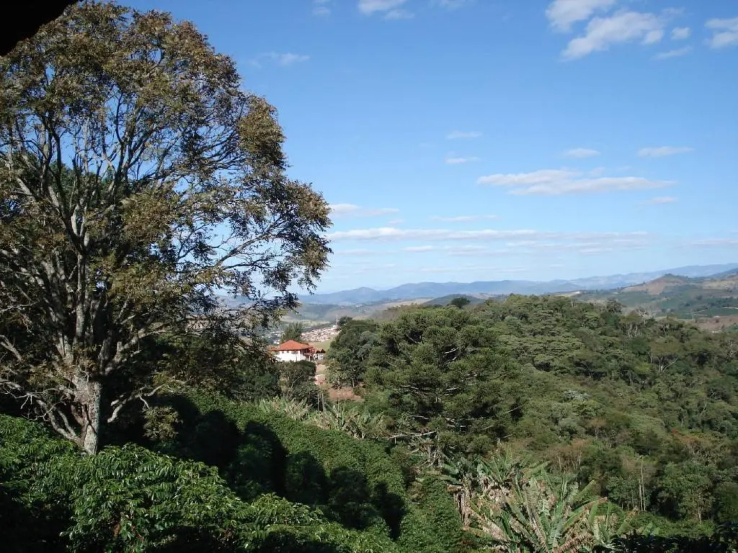 Pousada Lambari Montanha Hotel