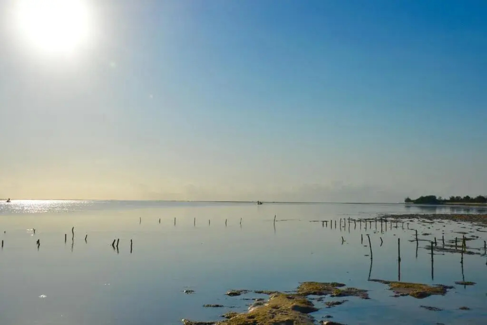 Eco Resort Sumba Dream