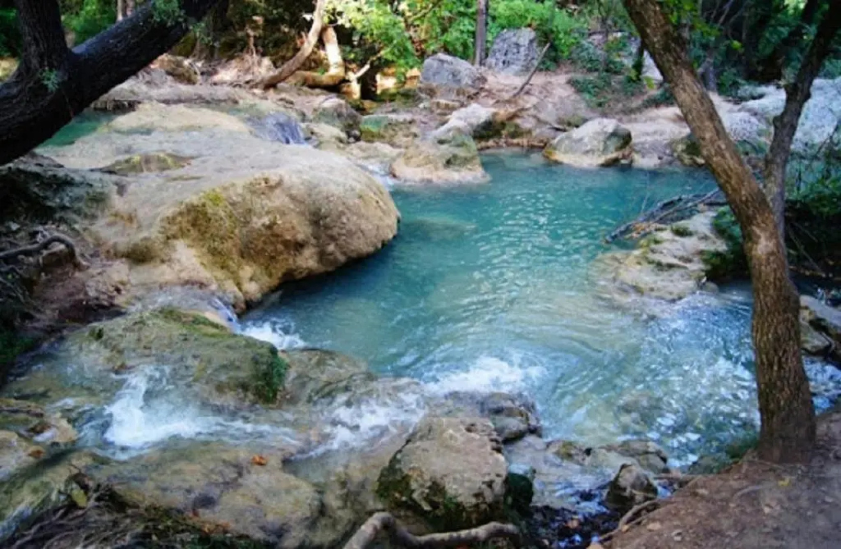 la Mésange Bleue du VERDON