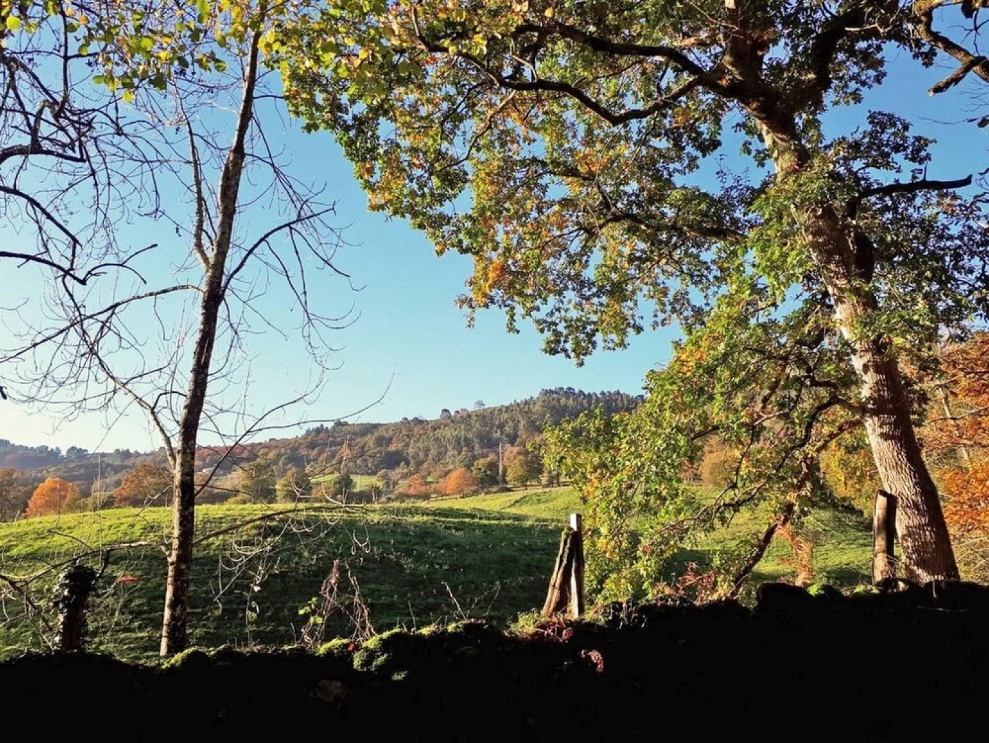 House With 3 Bedrooms in San Román de Villa, With Terrace