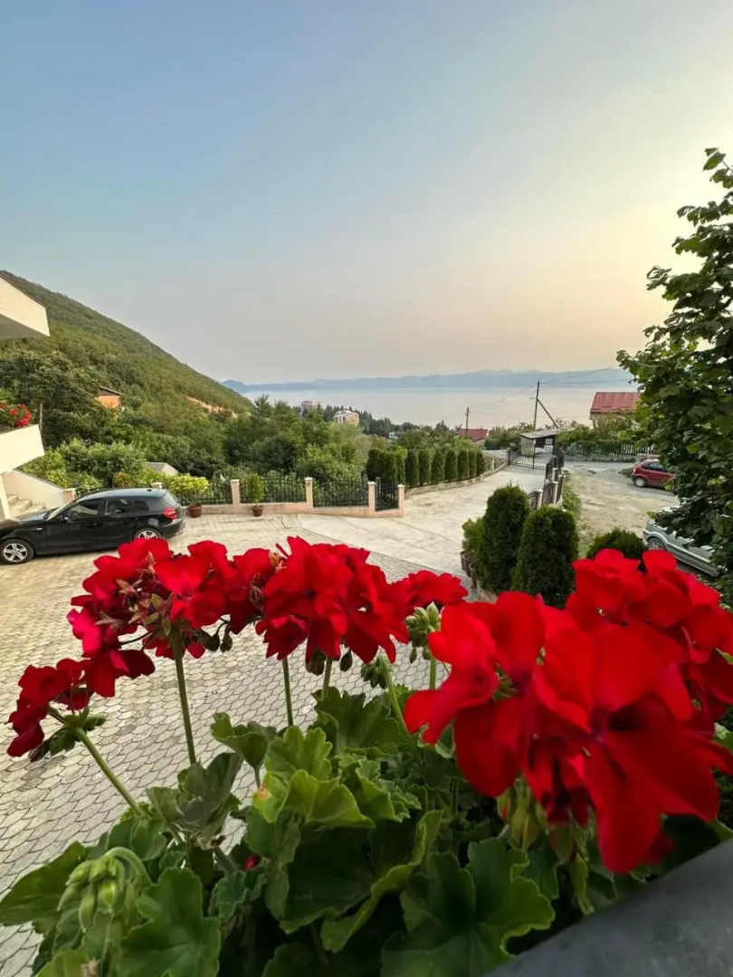 Stefanoski Guesthouse