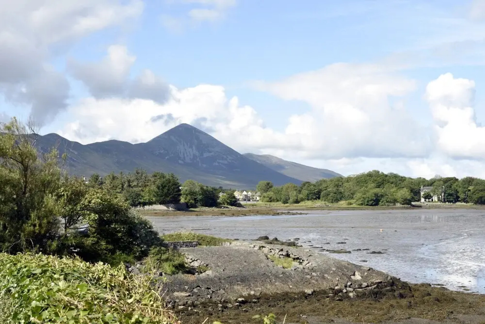 The Pink Door Westport
