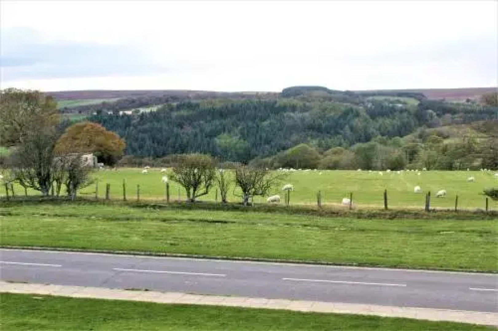 Fairhaven Country Guest House