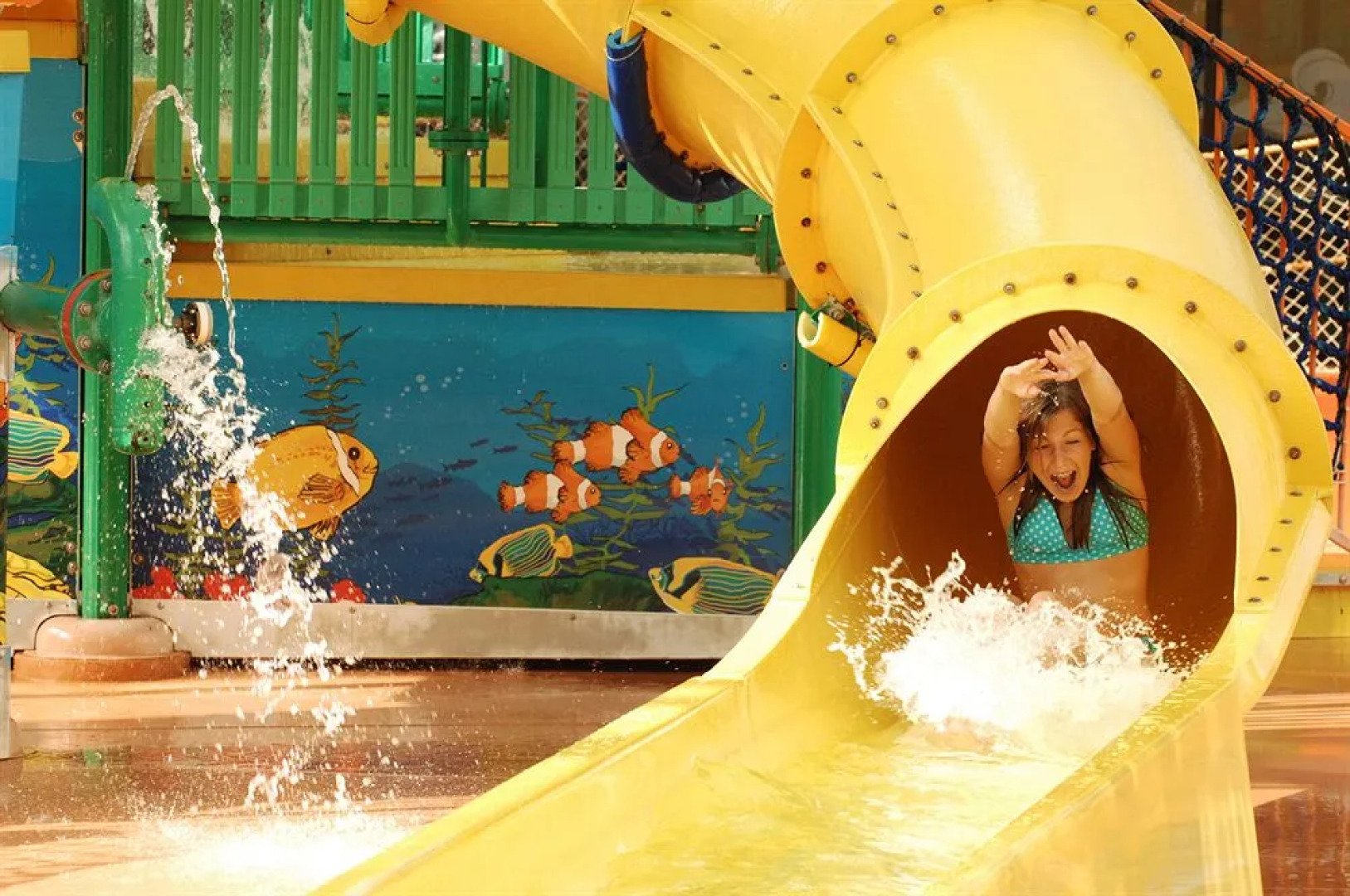 Americana Waterpark Resort and Spa