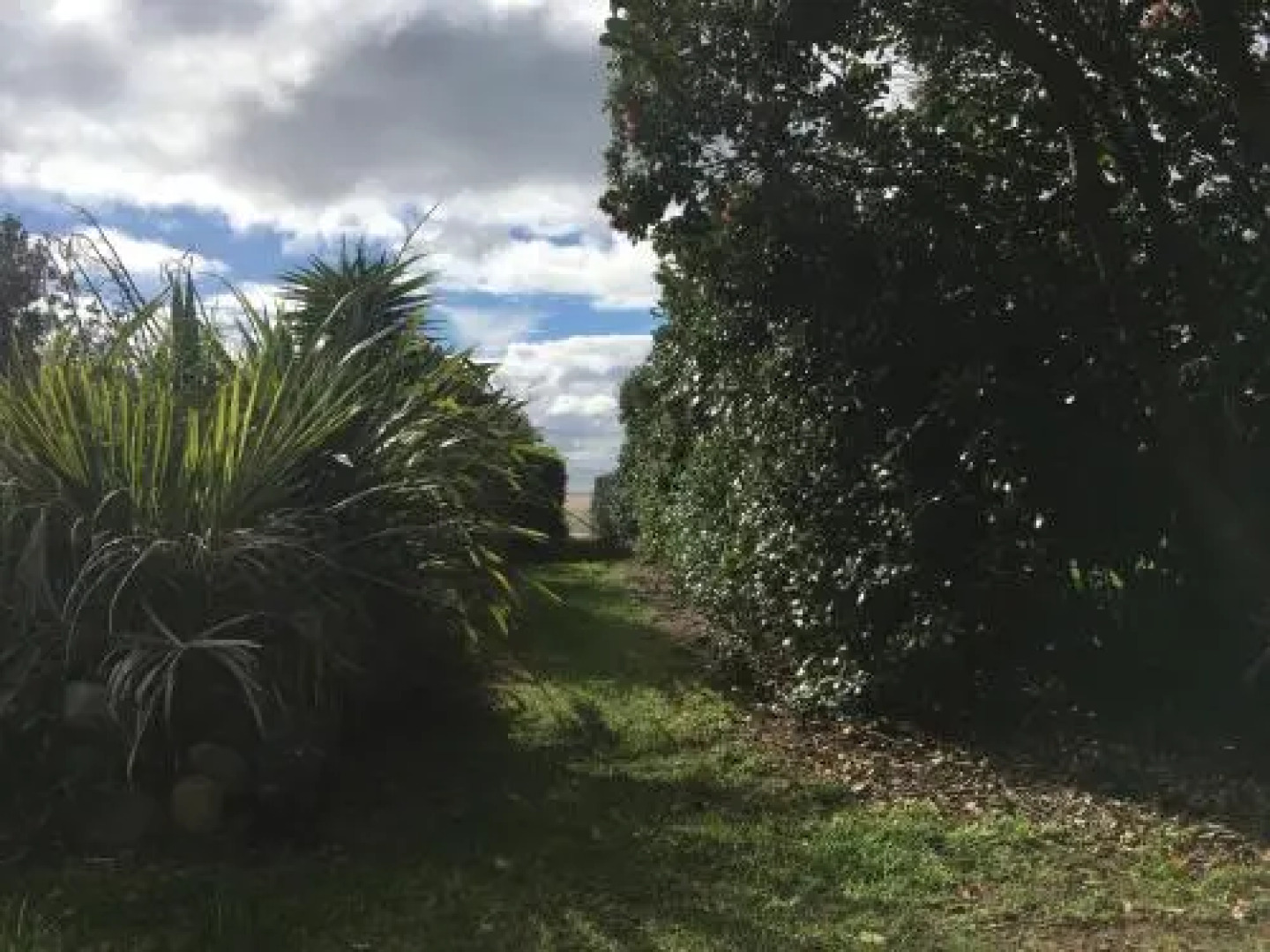 Hot Water Beach Bure Wera