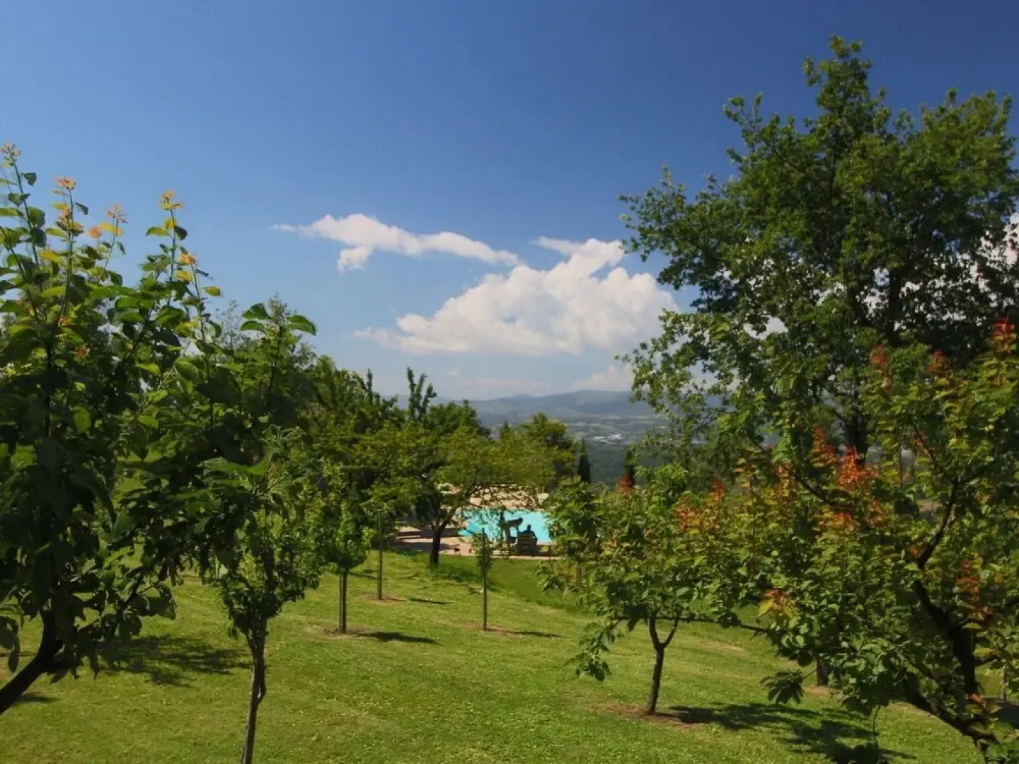 Detached Villa for 6-pers. With Outdoor Swimming Pool