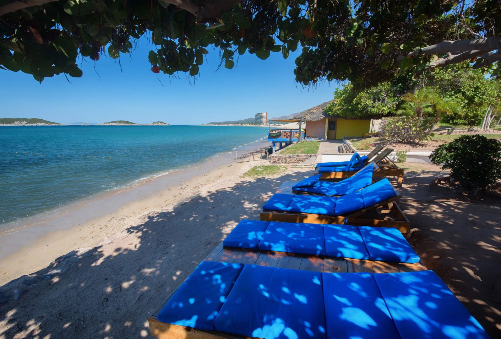 Hotel San Carlos Plaza